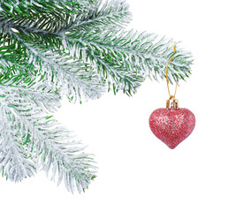 Christmas tree branch with decorative heart isolated on white