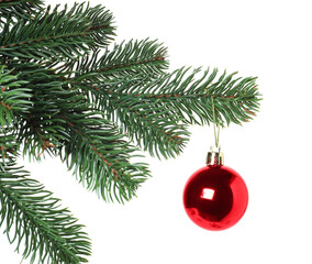 Christmas tree branch with decorative ball isolated on white
