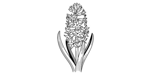 Continuous one line drawing of a detailed floral bloom with leaves and petals emerging gracefully vector