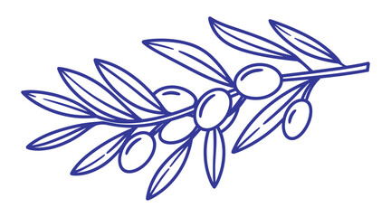 Blue Line Drawing of an Olive Branch with Berries on a White Background olives fruit