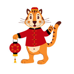Cute striped tiger in Chinese costume with a flashlight. For congratulations, cards, posters. Cartoon vector illustration isolated on white.