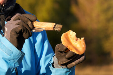 rydze w g&oacute;rach