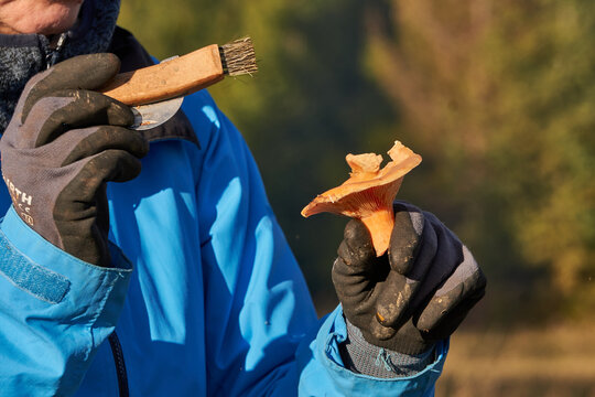 rydze w g&oacute;rach