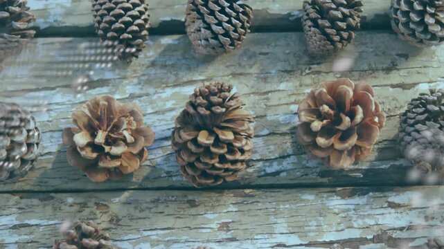 Digital globe fading in triggers scrolling Gradle text, moving dot map over pinecones for tech demo