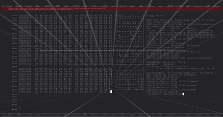 Upon red bar appearing terminal overlay performing hex dump scrolling and nmap scanning for debug - Powered by Adobe