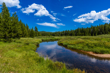 South Tongue River Bighorn National Forest