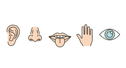 Five Human Senses Icons Set: A Vivid and Simple Vector Illustration Featuring Outline Symbols for Smell (Nose), Hearing (Ear), Touch (Hand), Taste (Mouth with Tongue), and Sight (Eye) on a Black