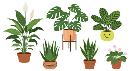Fototapeta premium A vibrant collection of popular potted indoor houseplants, including peace lily, monstera, aloe, and snake plant, perfect for home decor.