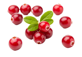 Fresh ripe red lingonberries with green leaves isolated on transparent background