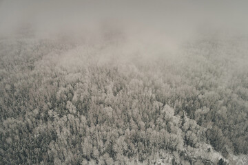 Aerial view of winter forest with fog