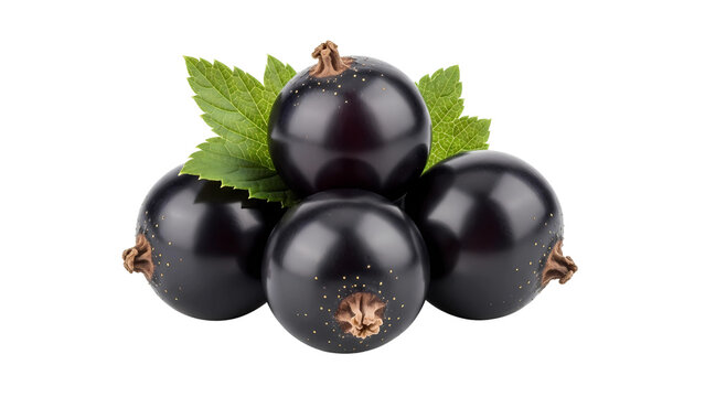 A small cluster of delicious fresh ripe black currant berries with green leaves on a transparent background
