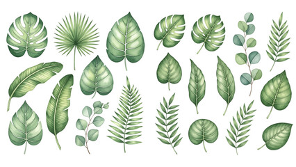 Exotic plants, palm leaves, monstera leaf on white background, watercolor vector illustration. Wedding frame elements collection. Elegant foliage design for wedding, card, invitation, greeting