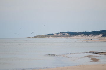 Peaceful Nature Scene at Wydma Łącka Sand Dunes, Poland