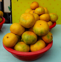 Korean tangerines or Gyul sold in Jeju Island.