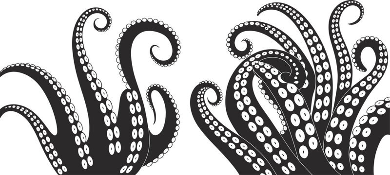 Octopus tentacles silhouette, marine animal vector, underwater creature design, sea life icon, black and white illustration, flat vector illustration