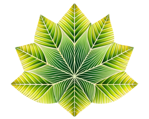 Geometric green leaf pattern isolated on transparent background