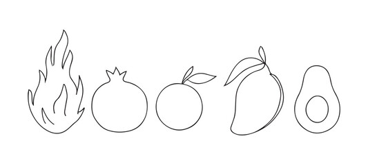 Minimalist continuous one-line art exotic fruit set vector illustration
