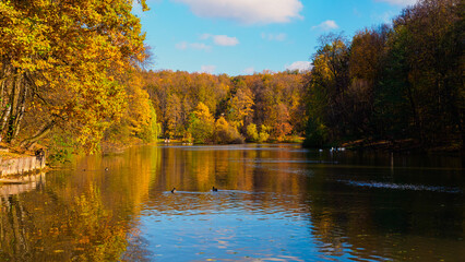 Autumn foliage reflecting on a calm pond