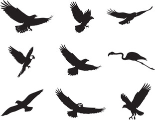 Collection of Nine Distinct Bird Silhouettes in Flight: Eagle Dove, Raven, Parrot, Sparrow, Flamingo, Seagull, Owl, and Osprey