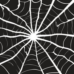 Obraz premium Grungy Close-Up Spider Web Graphic - High-Contrast Black and White Spooky Background