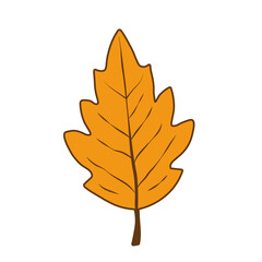 A bright, simple autumn leaf of orange color on a white background. Cartoon foliage for seasonal design. Vector EPS 10.