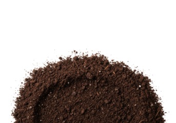 Rich dark brown fertile soil with granular texture and organic matter fills bottom two-thirds of a transparent copy space background under bright studio light, concept of natural growth and potential