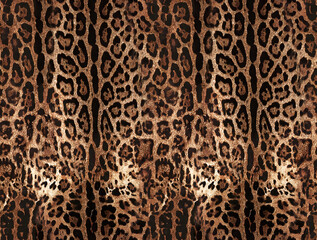 spotted animalier texture