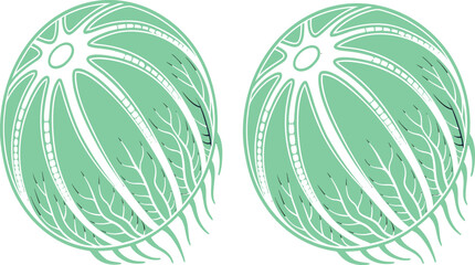 Artistic Spheres: Two identical spheres float, showcasing intricate designs of veins, hinting at the interconnectedness of life's elements in a stylized, modern artistic.