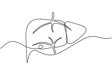 Human Liver anatomy continuous one line drawing on white background minimalist internal organ outline vector illustration