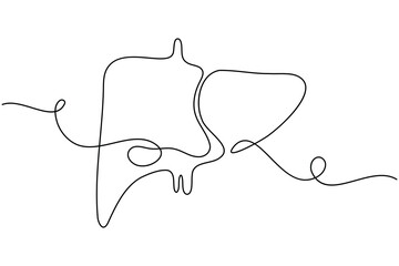 Human Liver anatomy continuous one line drawing on white background minimalist internal organ outline vector illustration