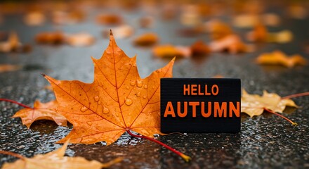 Hello autumn text on a small sign with wet maple leaf