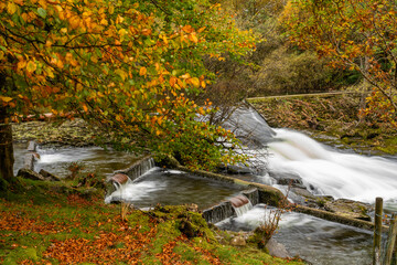 Autumn in Snowdonia National park North wales