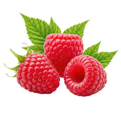 Three plump, ripe red raspberries with vivid green calyx leaves, fuzzy texture, on a pristine plain transparent background with bright studio light, food product concept