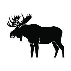 Moose silhouette majestic wildlife animal with large antlers standing on
