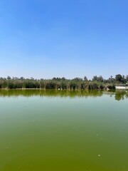 View of the lake in the city park