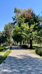 Path in the city park