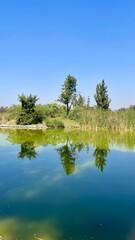 View of the lake in the city park
