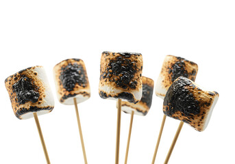 Toasted marshmallows ready for a sweet treat