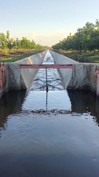 Hasta hay que hacer regad&iacute;o Confederaci&oacute;n hidrogr&aacute;fica de Guadiana