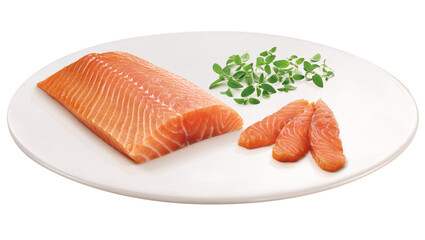 prato com salmão cru acompanhado de ervas isolado em fundo transparente