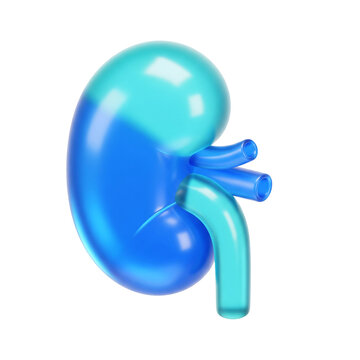 3D Glossy Blue Kidney Icon - Bean-Shaped Cortex & Medulla with Renal Pelvis Glow, Translucent Stylized UI Element on Transparent PNG for Urology