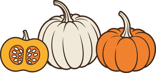Autumn harvest pumpkins collection with whole orange pumpkin, white pumpkin and sliced squash vegetable in flat cartoon vector illustration