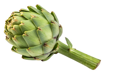 Fresh green artichoke with stem isolated on transparent background, PNG, raw organic vegetable for cooking, healthy vegan natural food ingredient.