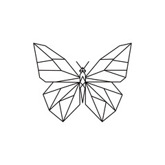 Example: Geometric Butterfly Vector Illustration