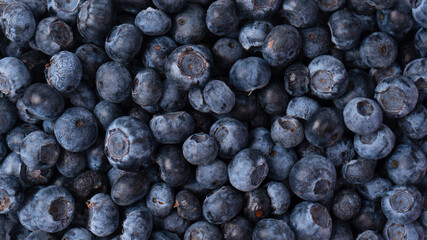 Blueberries in a plastic container isolated on a white background.