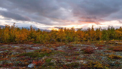 Mountain landscape in Abisko national park in north of Sweden