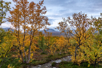 Mountain landscape in Abisko national park in north of Sweden