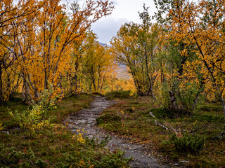 Mountain landscape in Abisko national park in north of Sweden