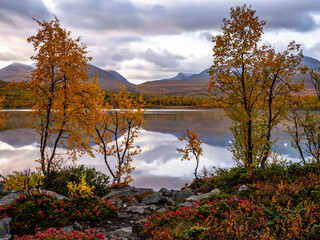 Sunrise morning in Abisko national park in north of Sweden.