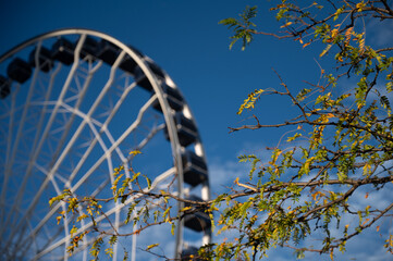 ferris wheel on a sunny day